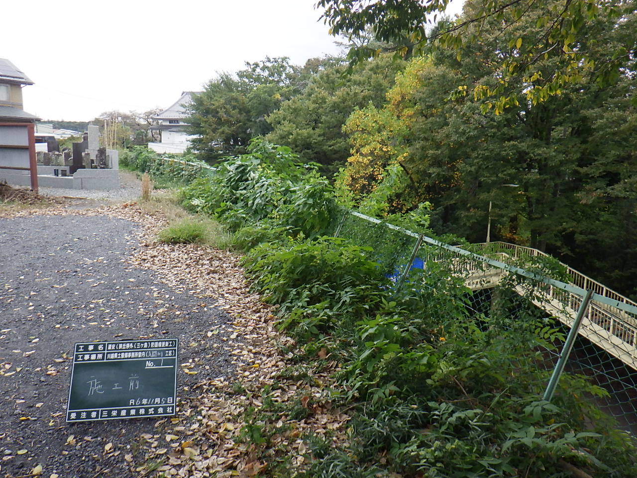 Before image